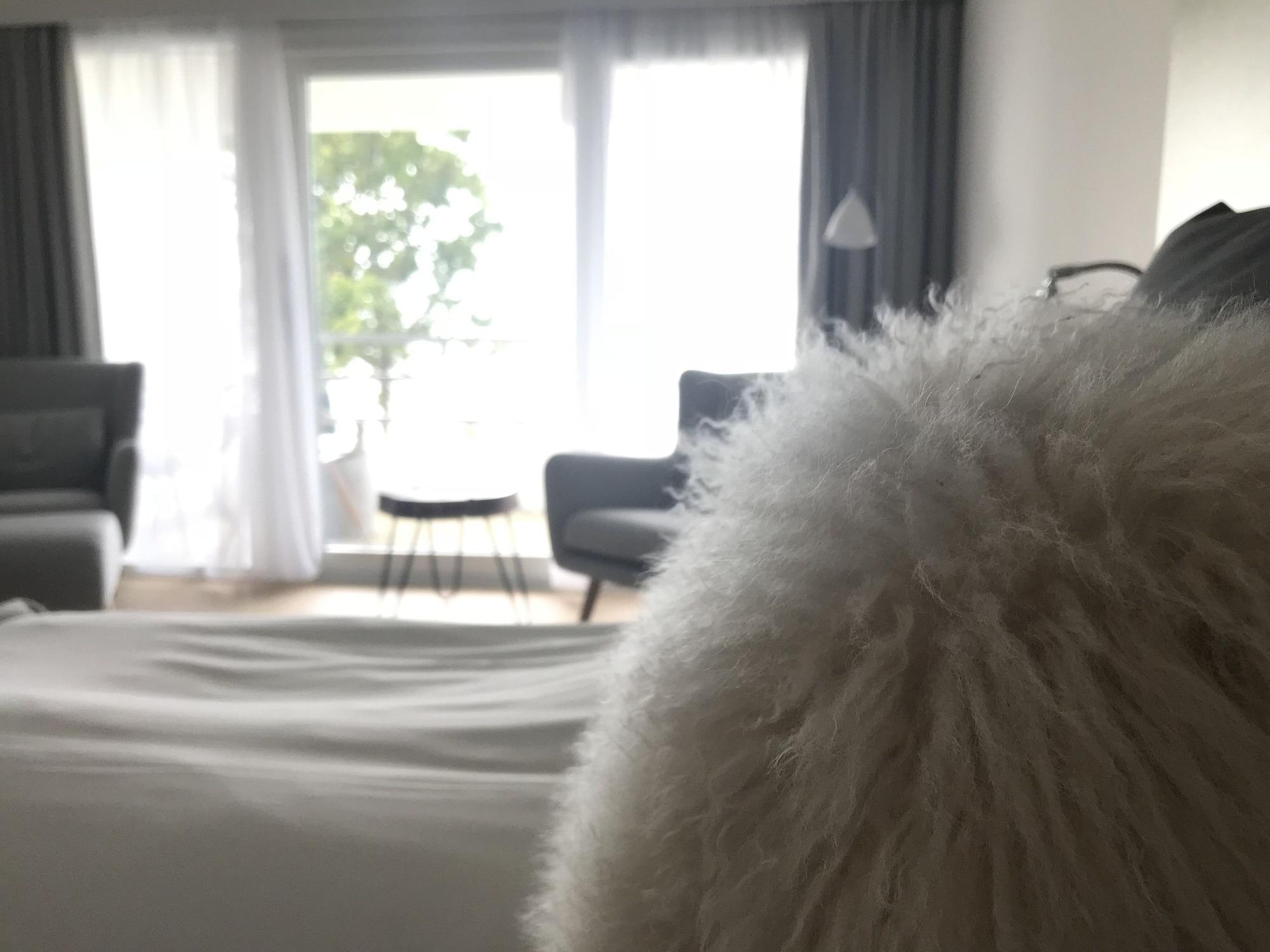 רונה Fredensborg Badehotel מראה חיצוני תמונה